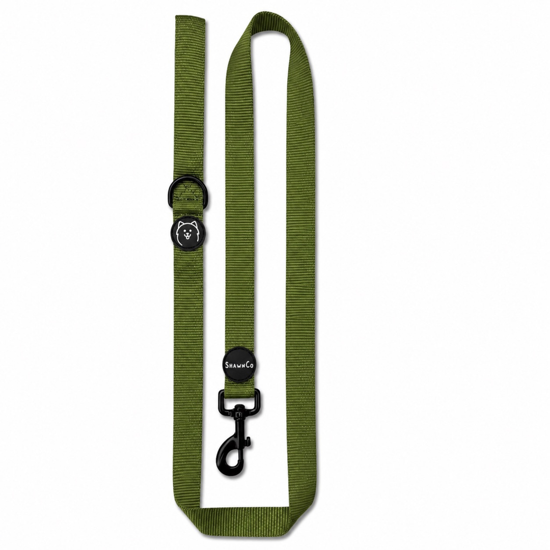ShawnCo Dream Walk Dog Leash