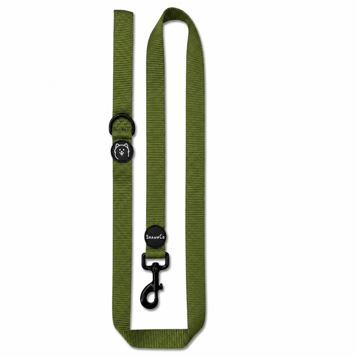 ShawnCo Dream Walk Dog Leash