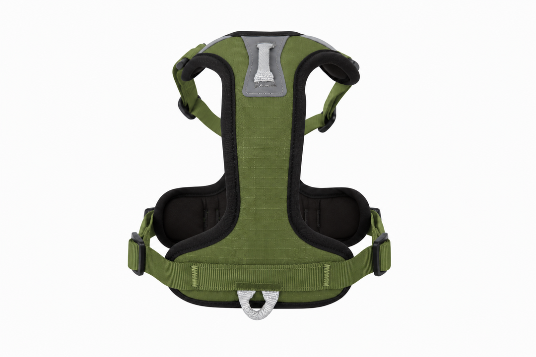 ShawnCo Basecamp Dog Harness