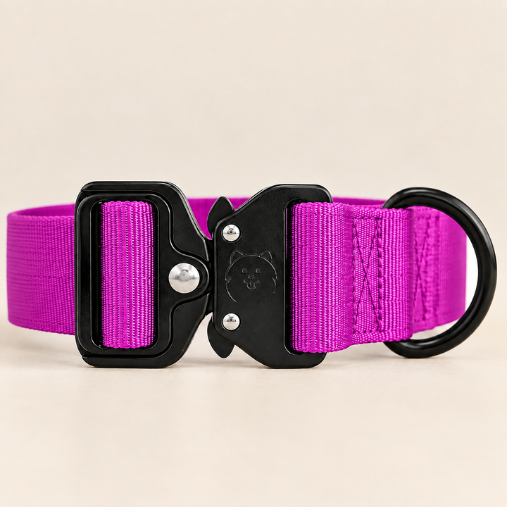 ShawnCo Basecamp Dog Collar