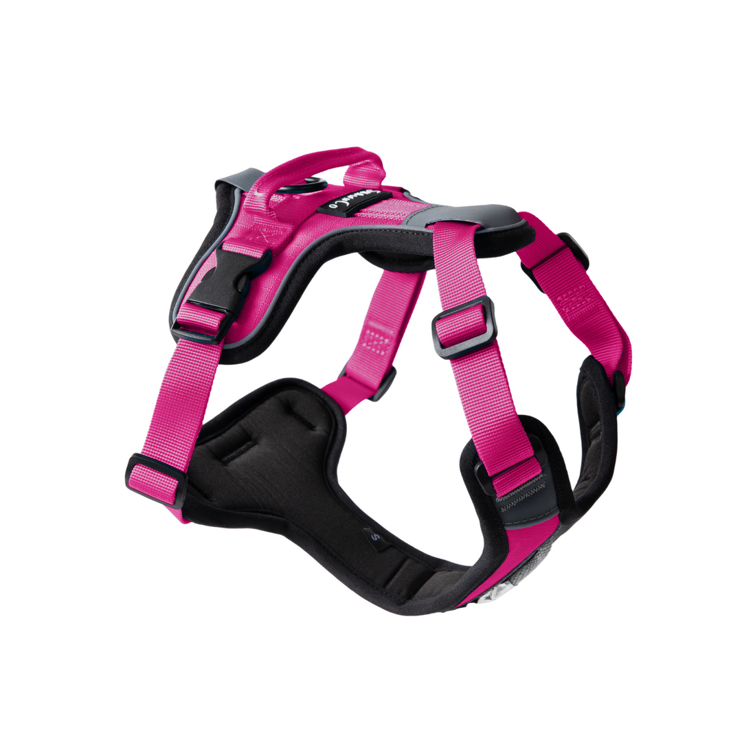 ShawnCo Basecamp Dog Harness