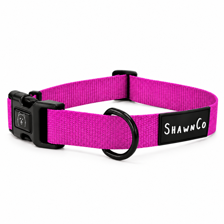 ShawnCo Dream Walk Dog Collar
