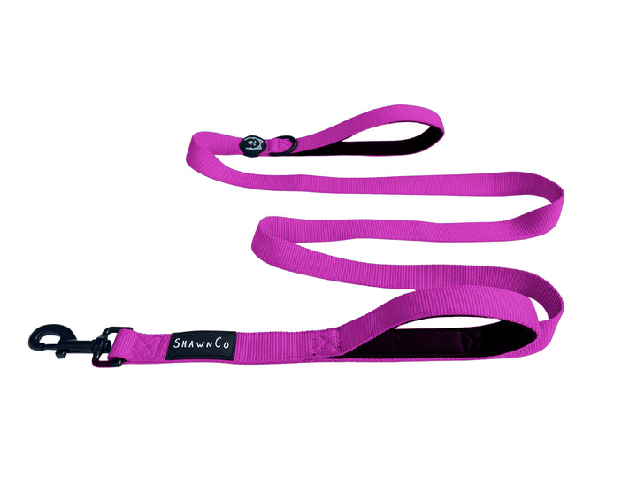 ShawnCo Dream Walk Dog Leash