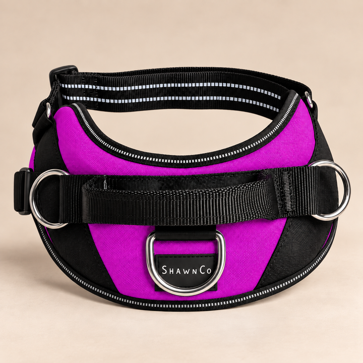 ShawnCo Essential Dog Harness