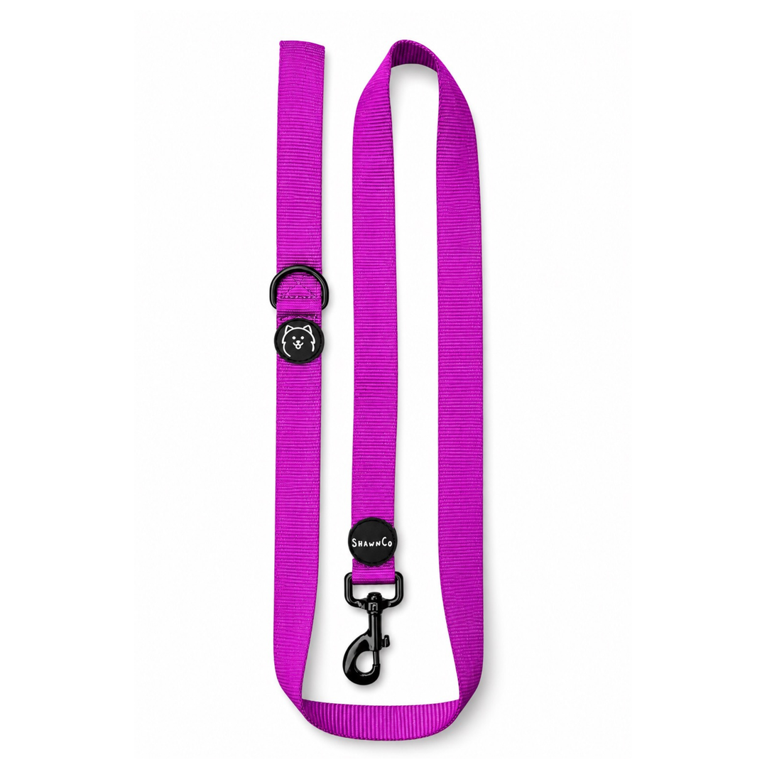 ShawnCo Dream Walk Dog Leash
