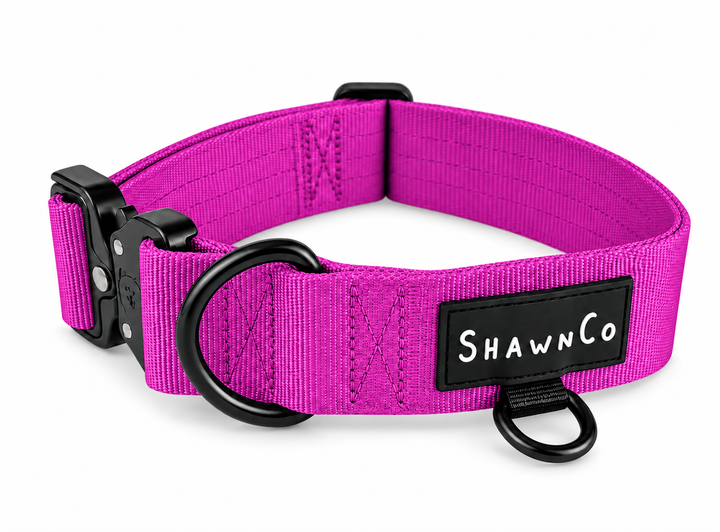 ShawnCo Basecamp Dog Collar
