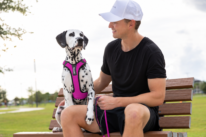 ShawnCo Basecamp Dog Harness