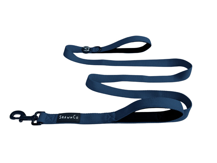ShawnCo Dream Walk Dog Leash