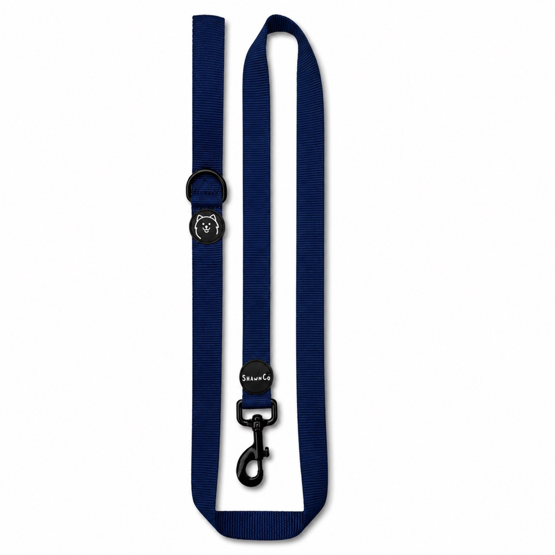 ShawnCo Dream Walk Dog Leash