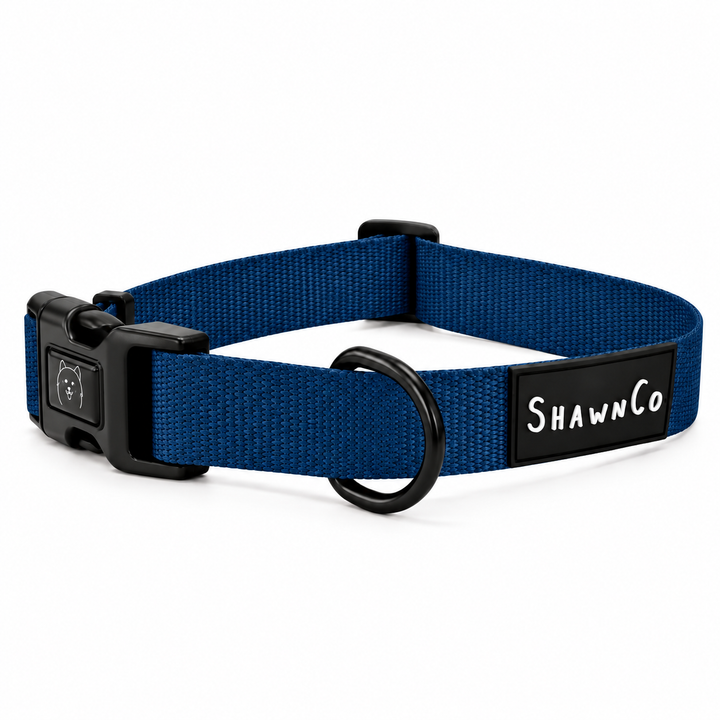 ShawnCo Dream Walk Dog Collar