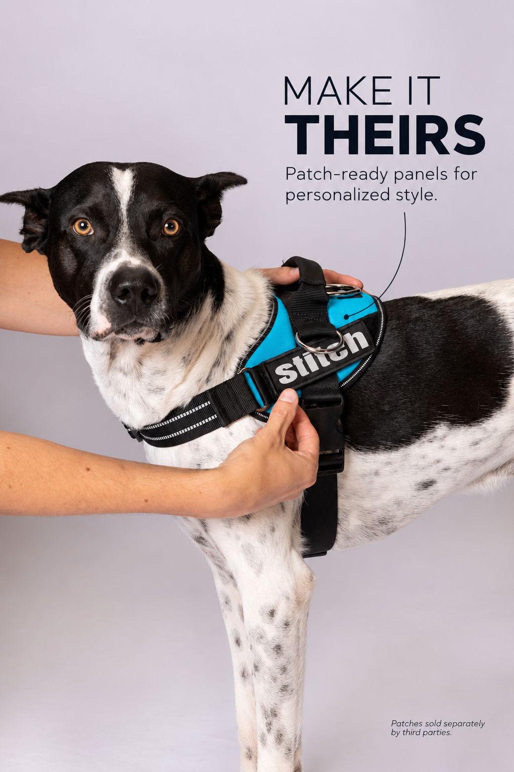 ShawnCo Essential Pro Dog Harness