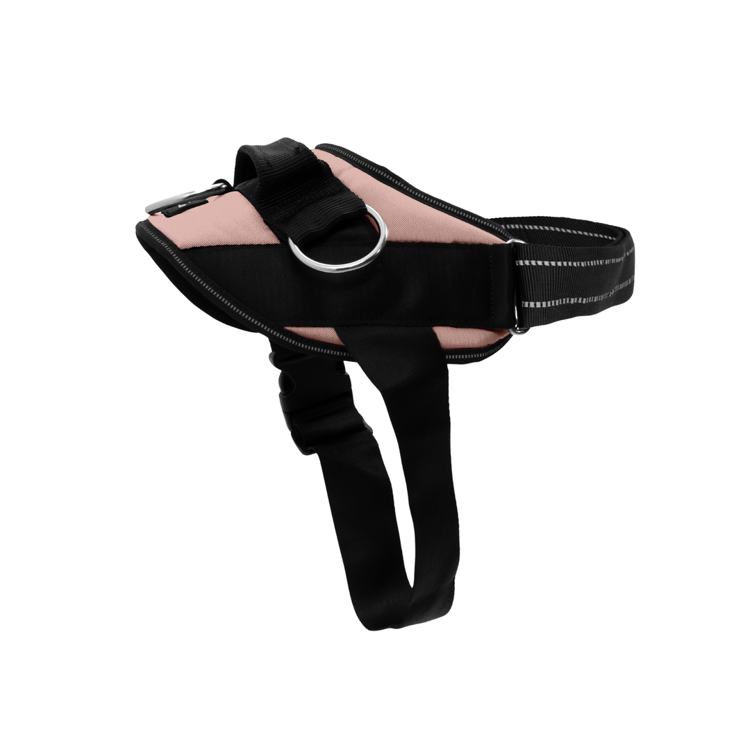 ShawnCo Essential Dog Harness