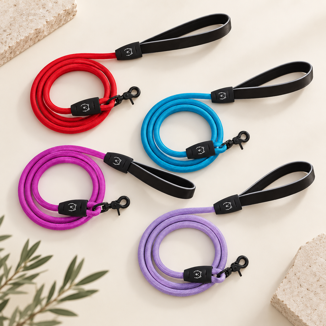 ShawnCo Basecamp Rope Dog Leash