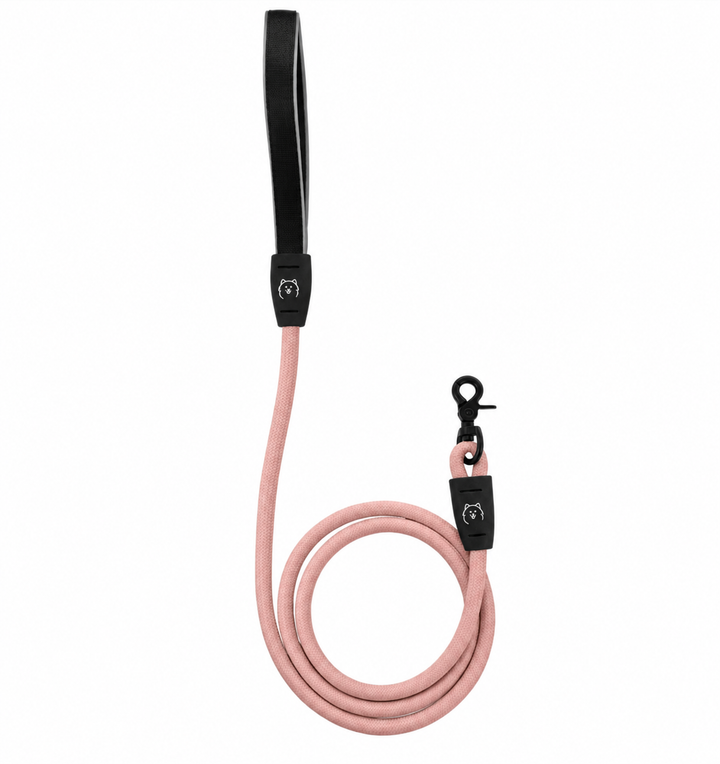 ShawnCo Basecamp Rope Dog Leash