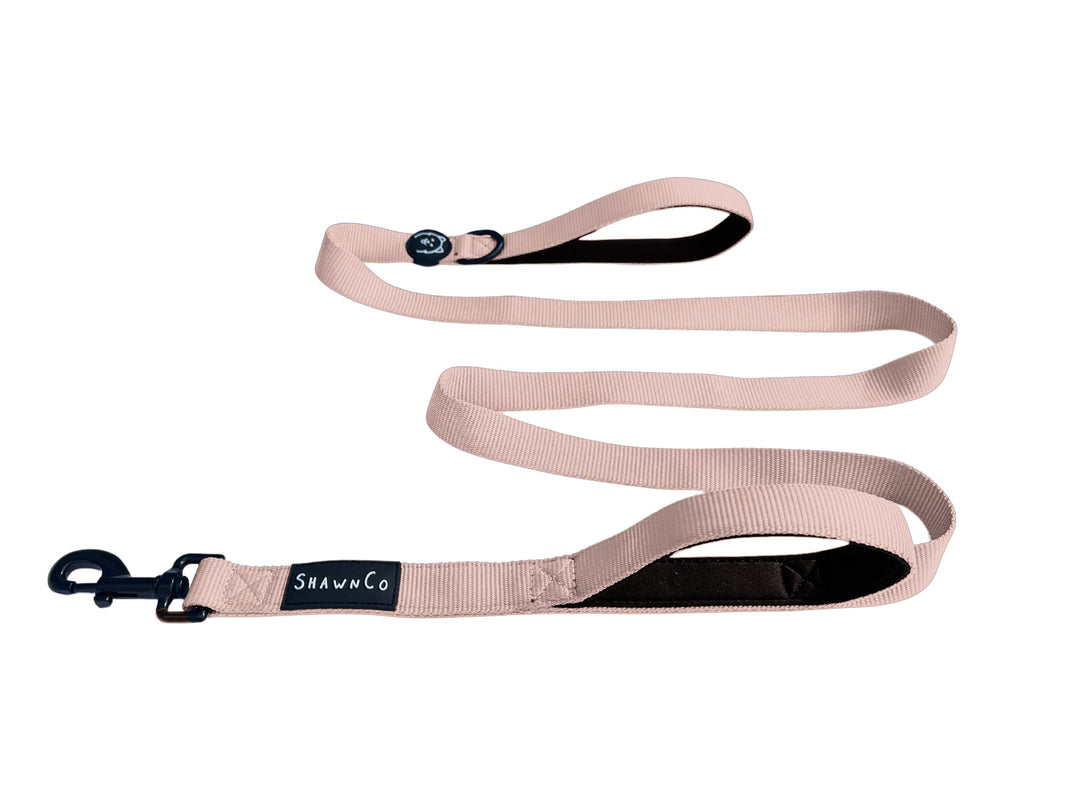 ShawnCo Dream Walk Dog Leash