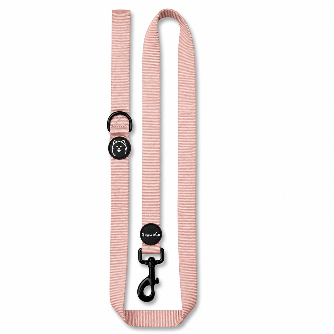 ShawnCo Dream Walk Dog Leash