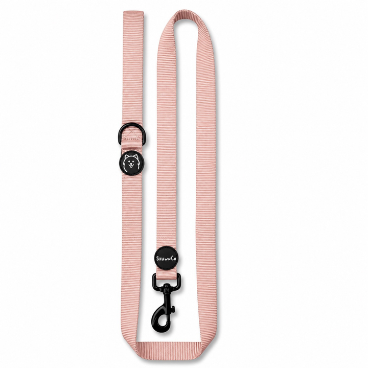 ShawnCo Dream Walk Dog Leash
