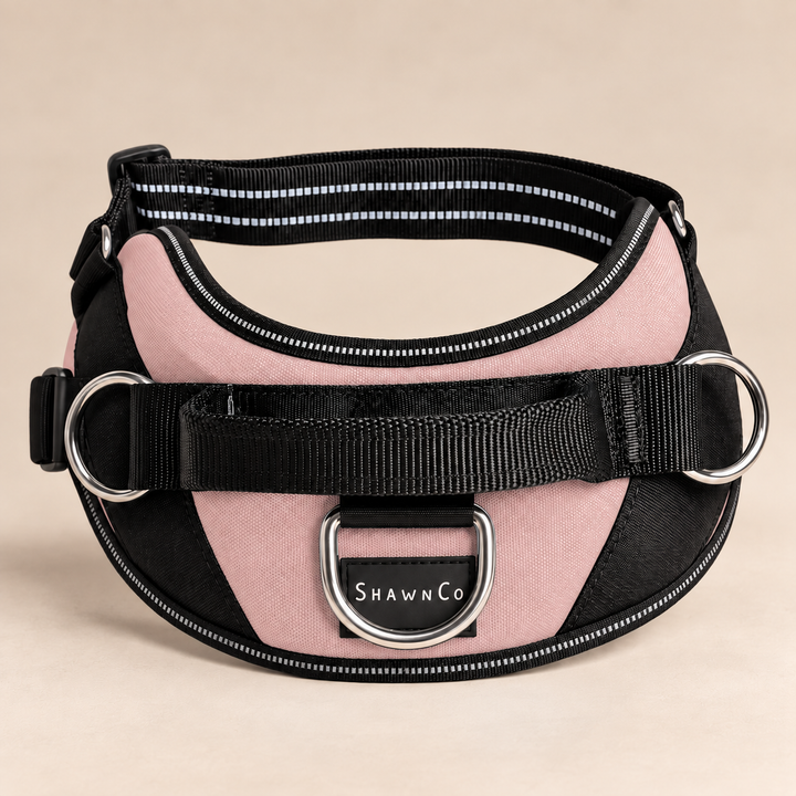 ShawnCo Essential Dog Harness