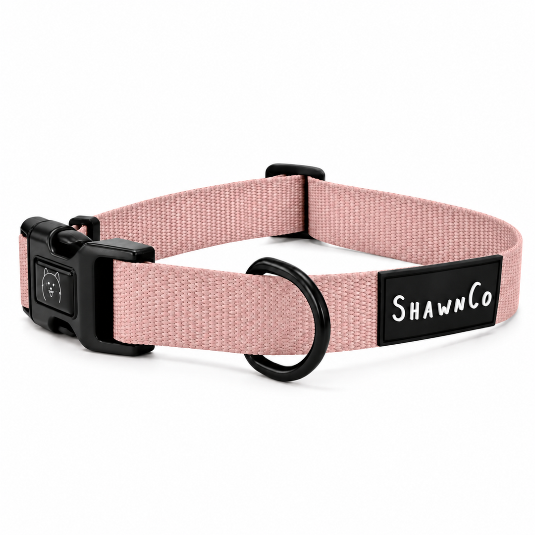 ShawnCo Dream Walk Dog Collar
