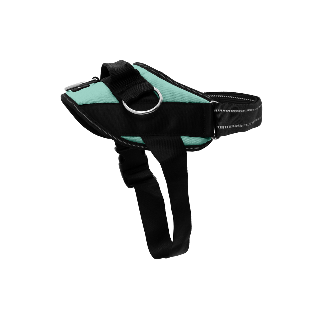 ShawnCo Essential Dog Harness