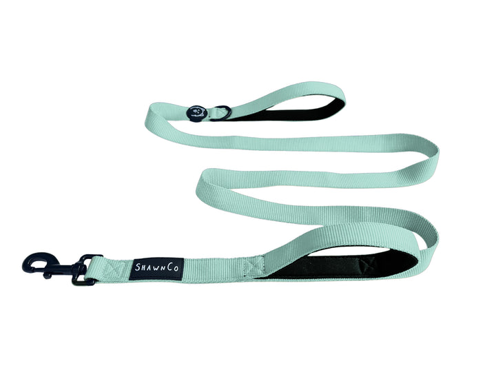 ShawnCo Dream Walk Dog Leash