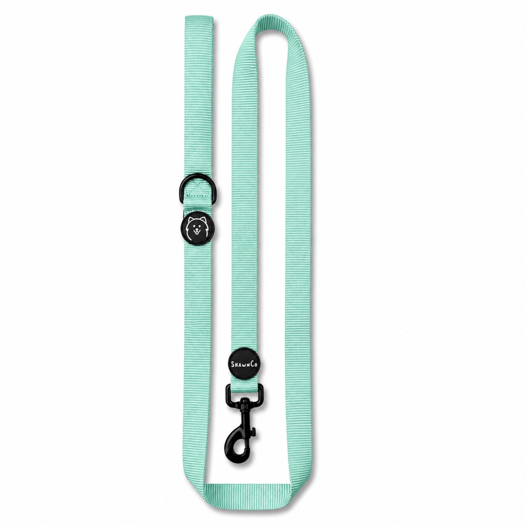 ShawnCo Dream Walk Dog Leash