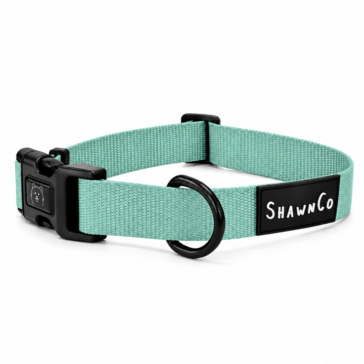 ShawnCo Dream Walk Dog Collar