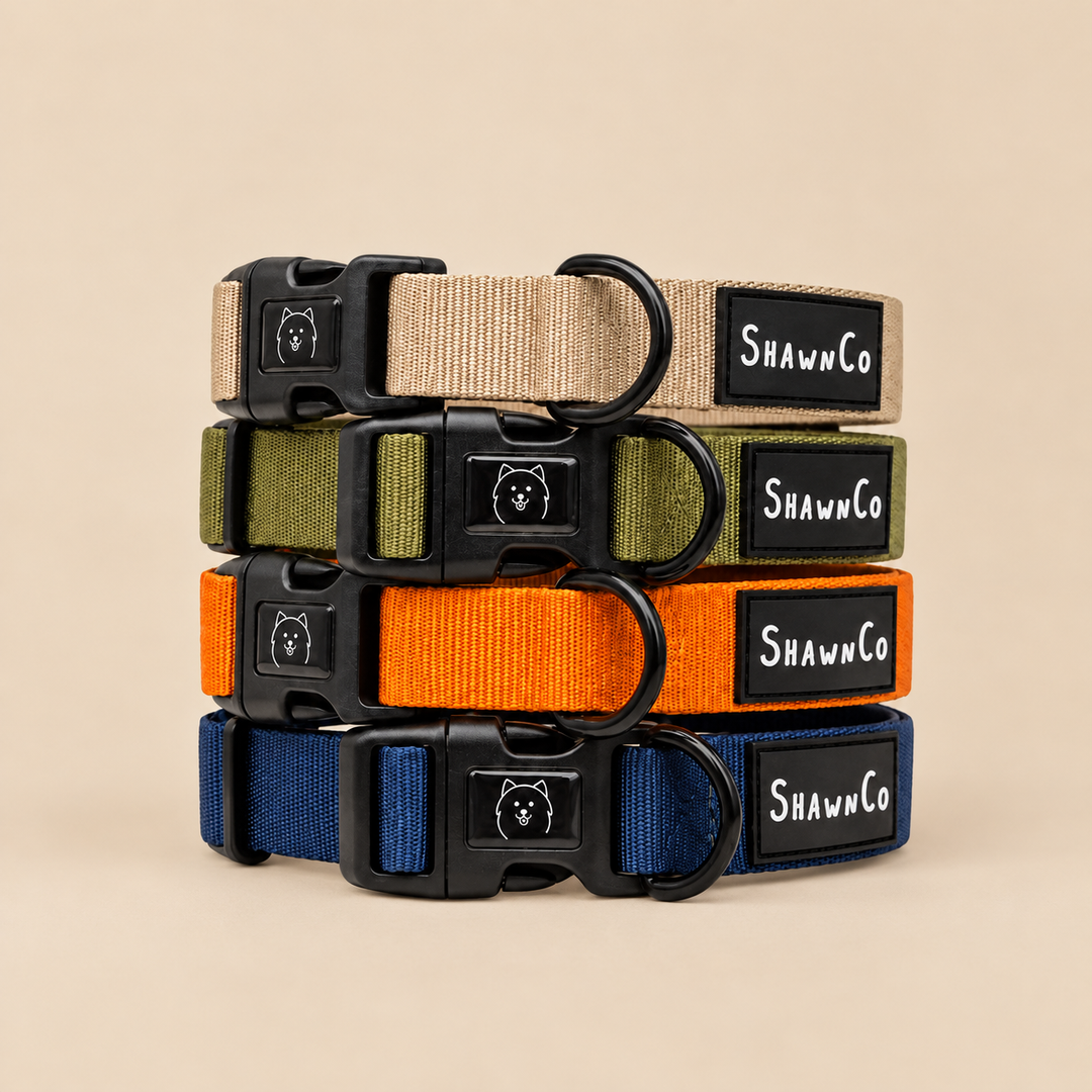 ShawnCo Dream Walk Dog Collar