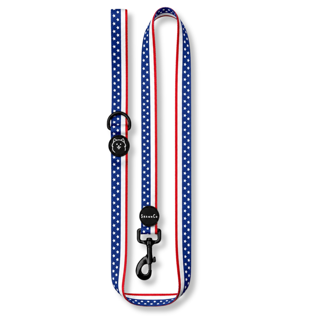 ShawnCo Dream Walk Dog Leash