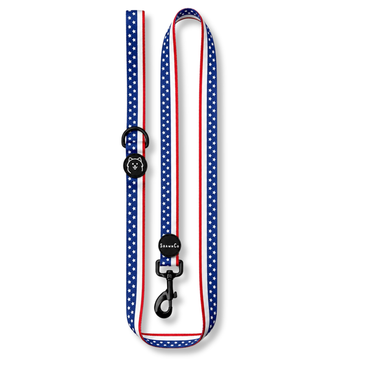ShawnCo Dream Walk Dog Leash