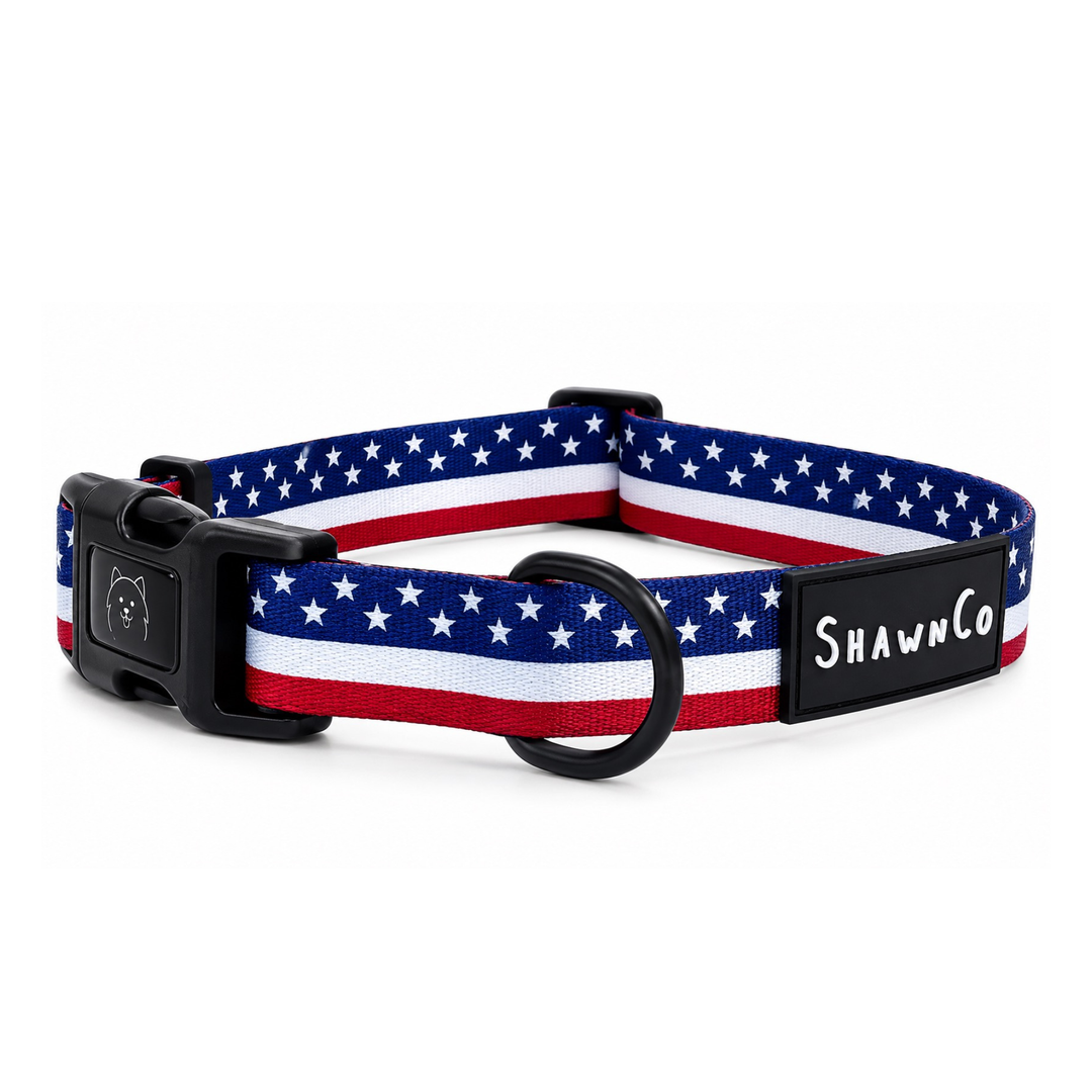ShawnCo Dream Walk Dog Collar