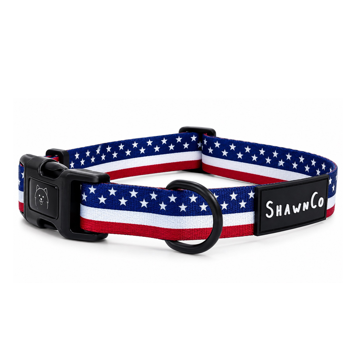 ShawnCo Dream Walk Dog Collar