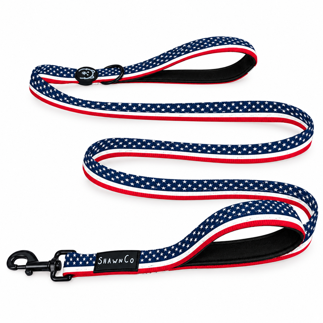 ShawnCo Dream Walk Dog Leash