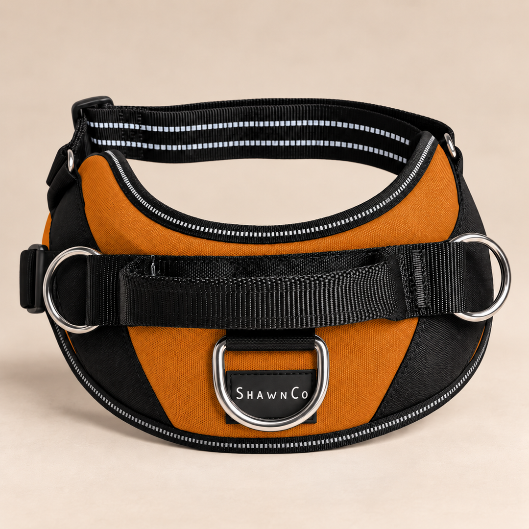 ShawnCo Essential Dog Harness