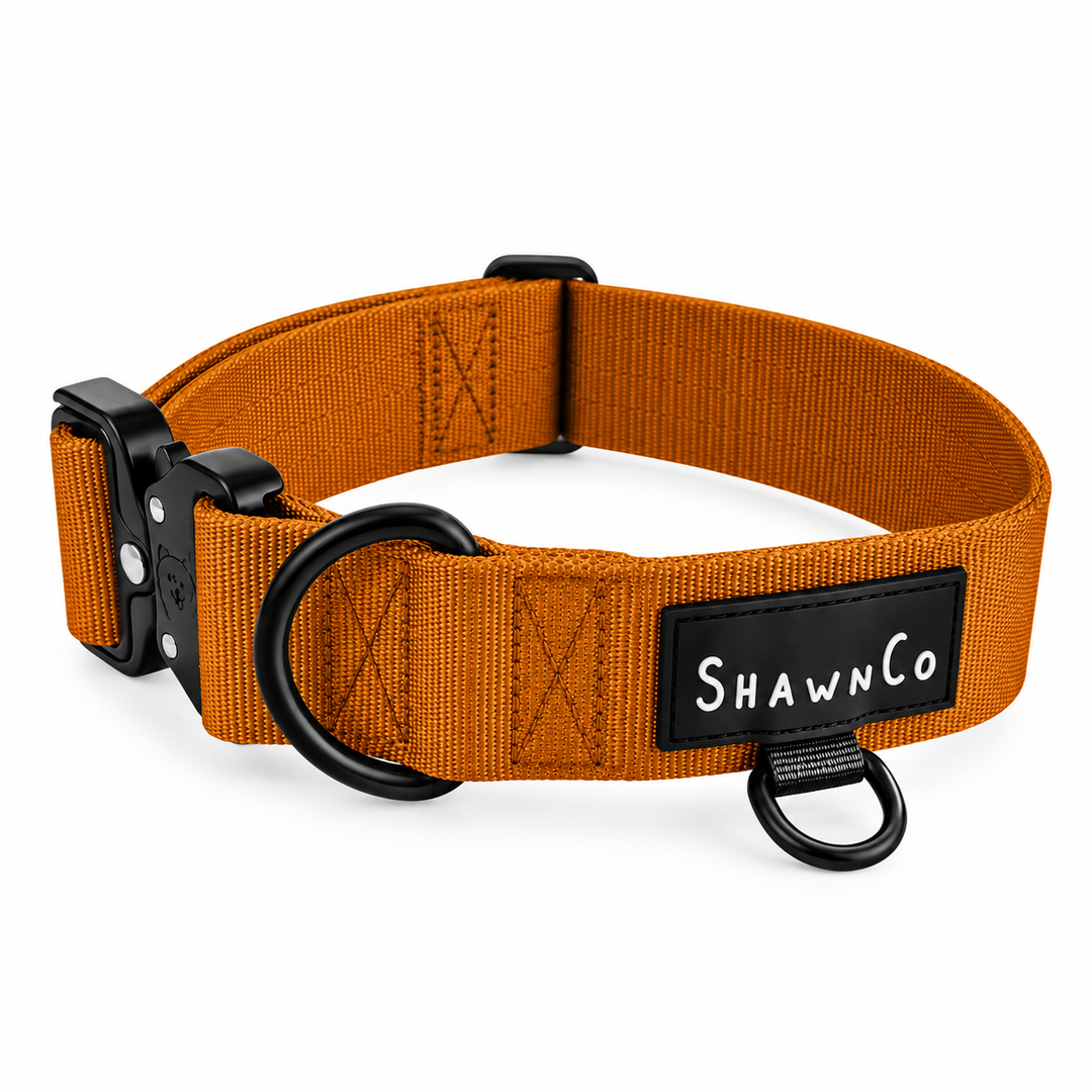 ShawnCo Basecamp Dog Collar