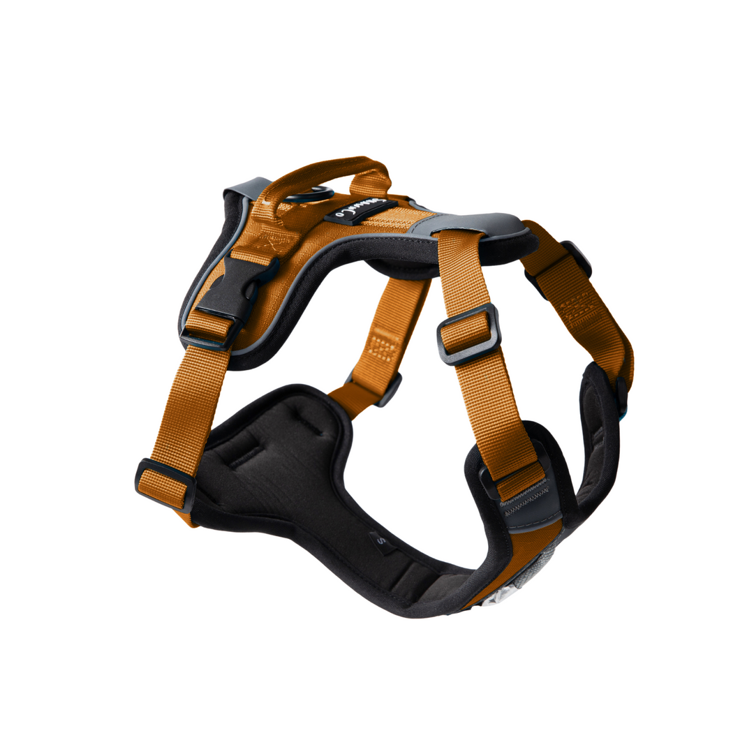 ShawnCo Basecamp Dog Harness