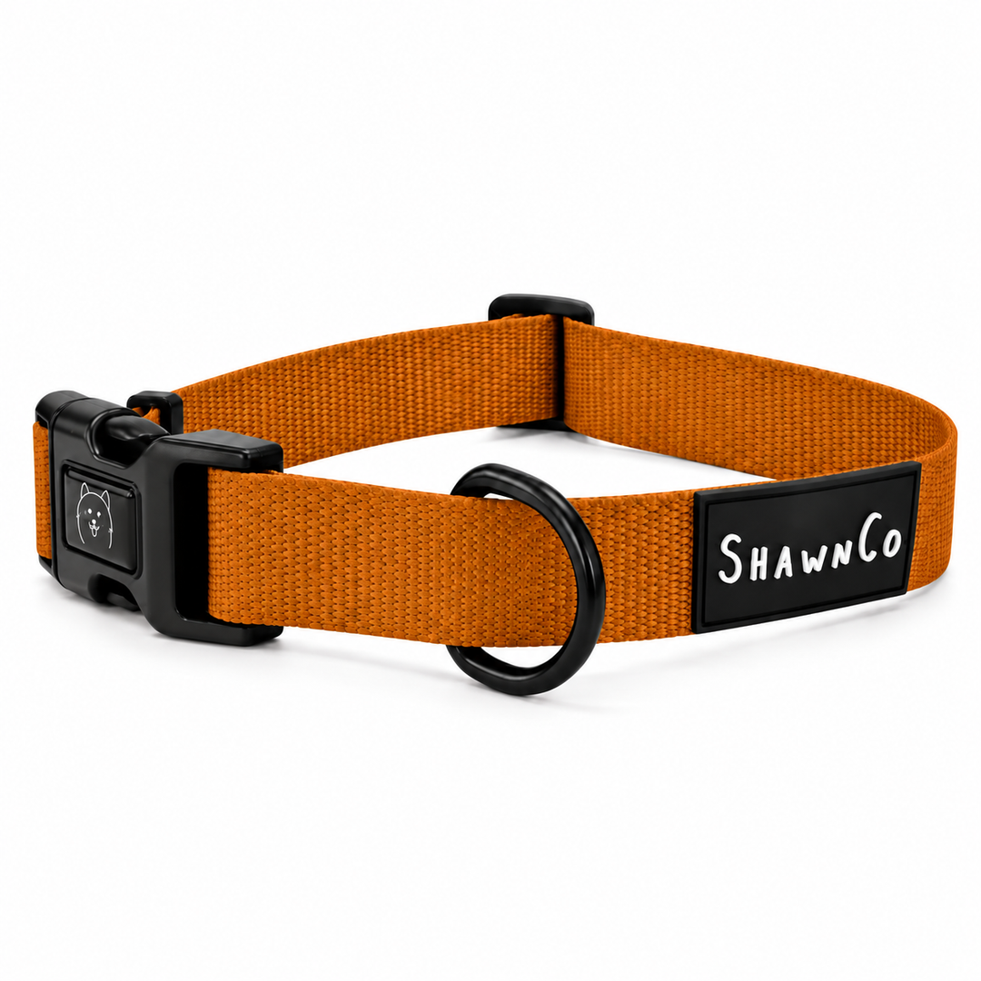 ShawnCo Dream Walk Dog Collar