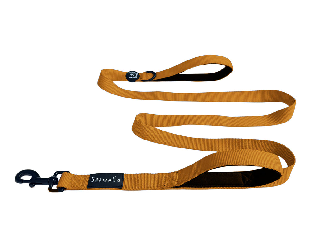 ShawnCo Dream Walk Dog Leash