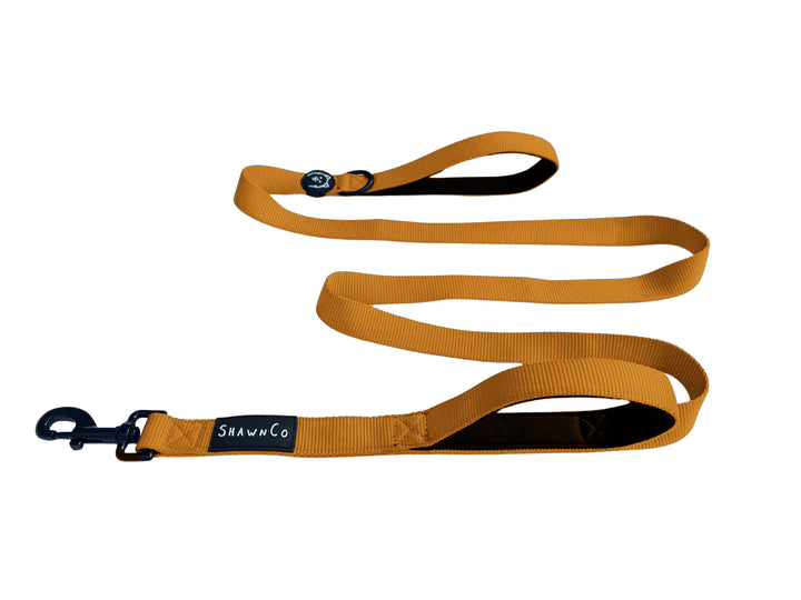 ShawnCo Dream Walk Dog Leash