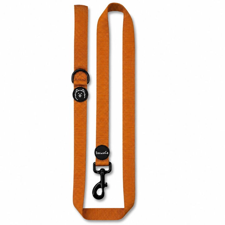 ShawnCo Dream Walk Dog Leash