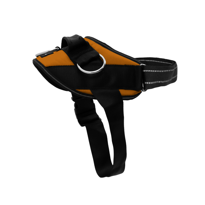 ShawnCo Essential Dog Harness
