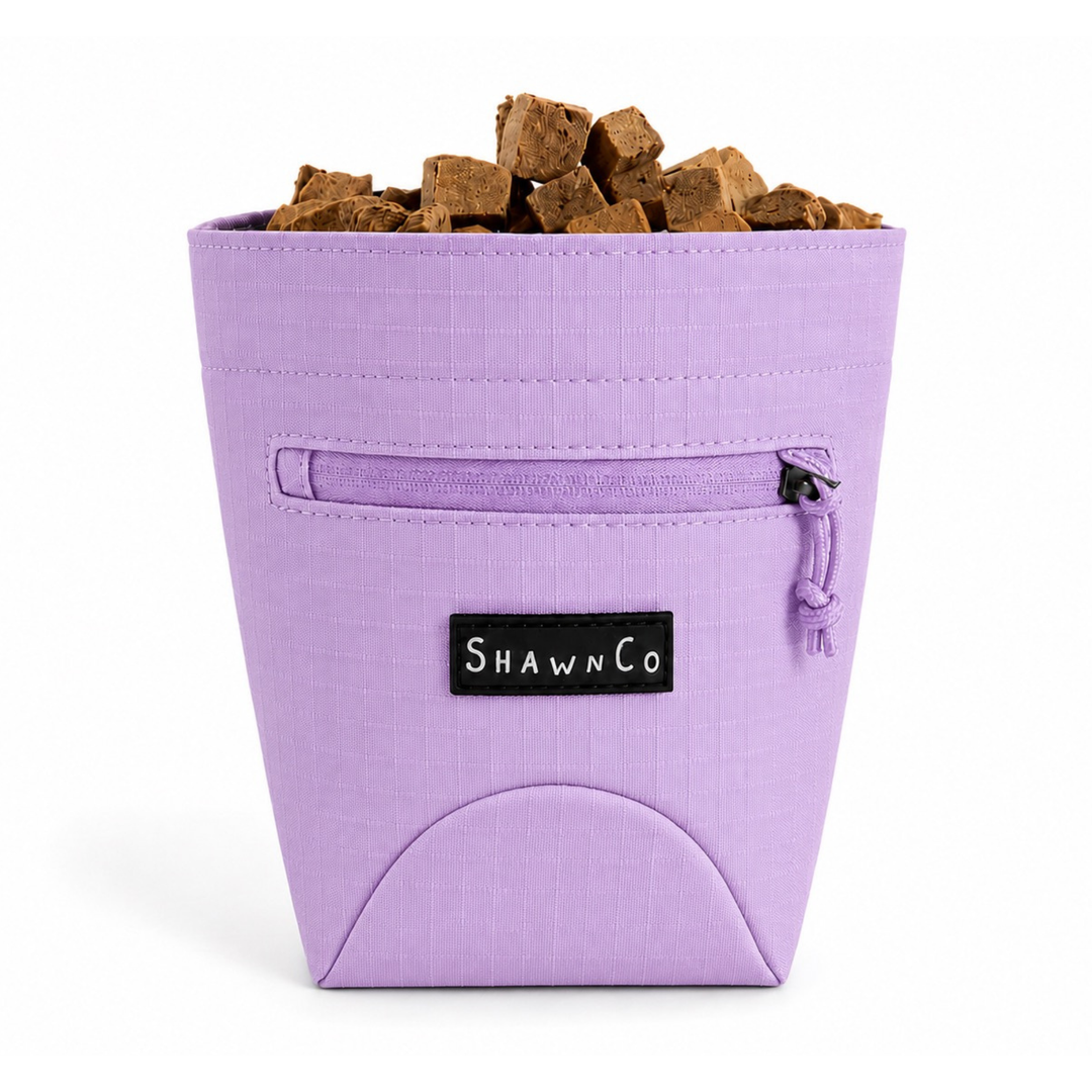 ShawnCo Essential Treat Bag