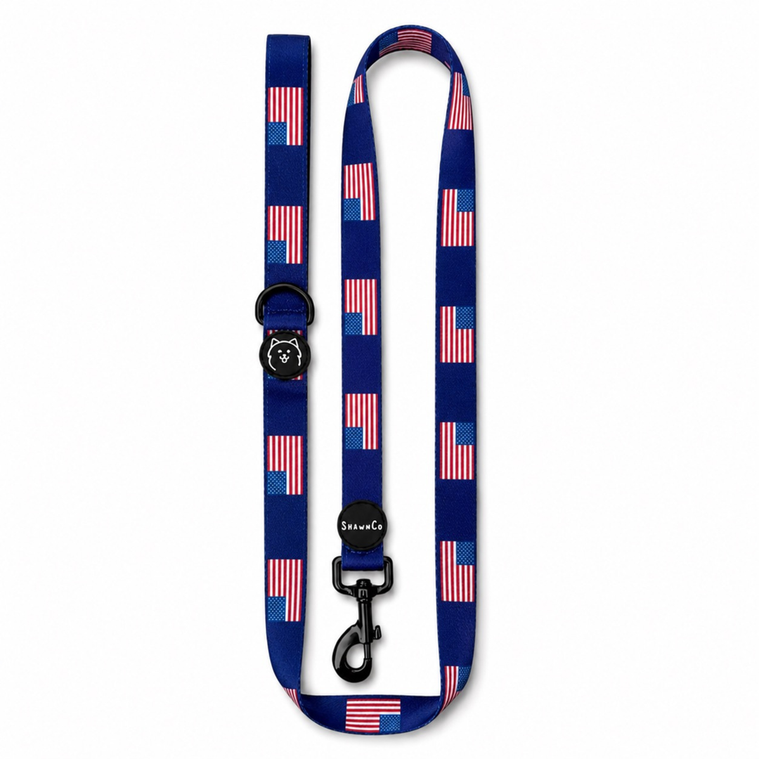 ShawnCo Dream Walk Dog Leash