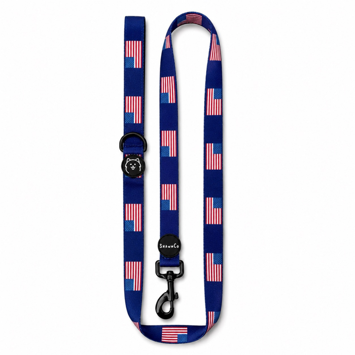 ShawnCo Dream Walk Dog Leash