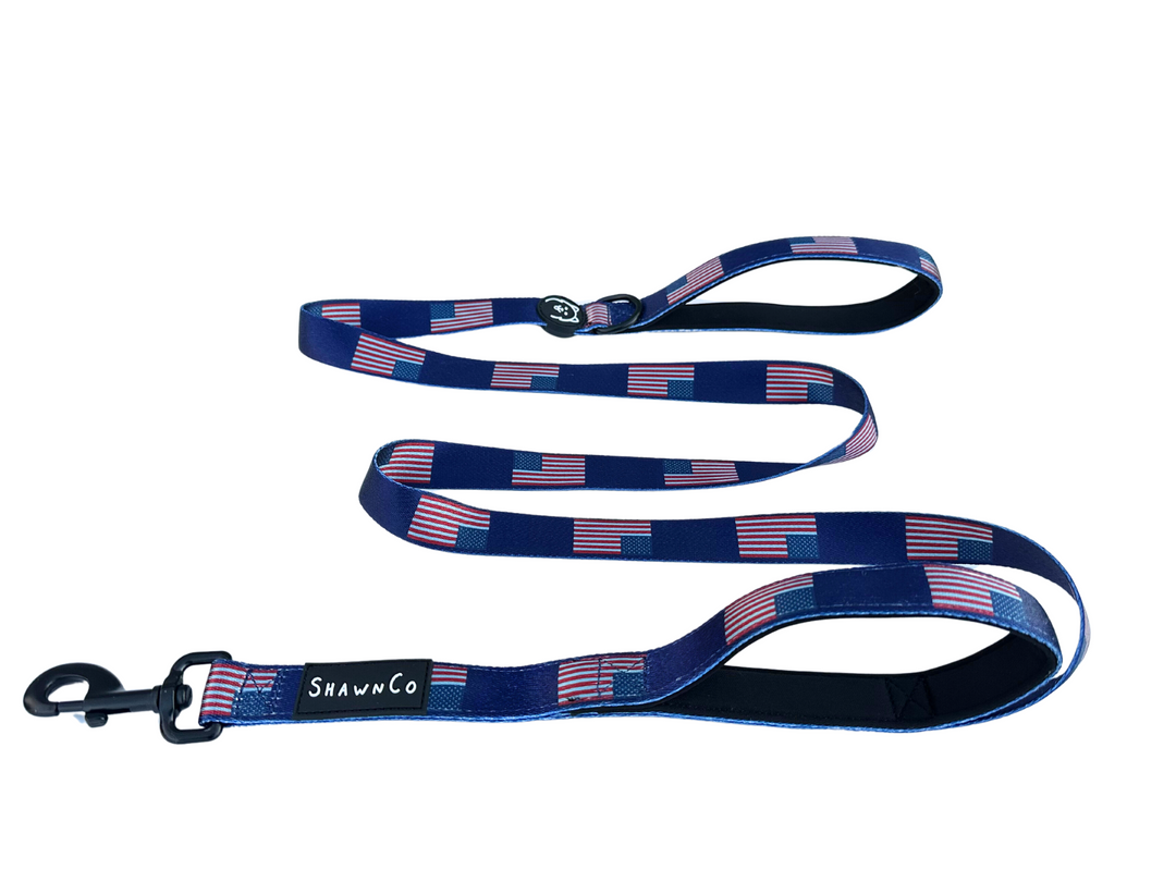 ShawnCo Dream Walk Dog Leash