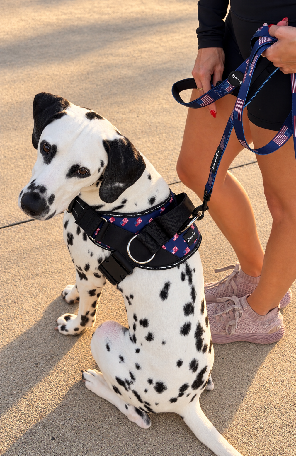 ShawnCo Dream Walk Dog Leash