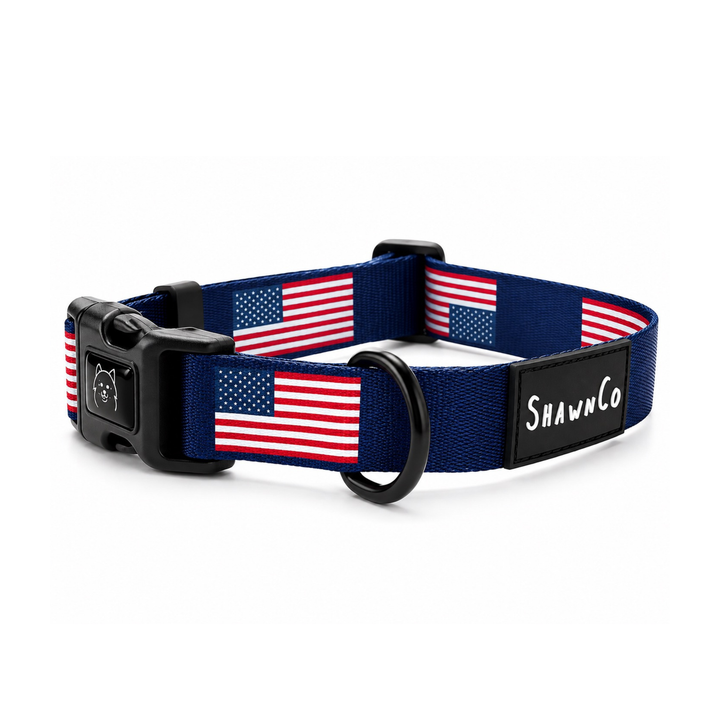 ShawnCo Dream Walk Dog Collar