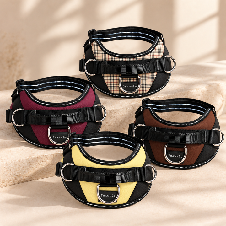 ShawnCo Essential Dog Harness