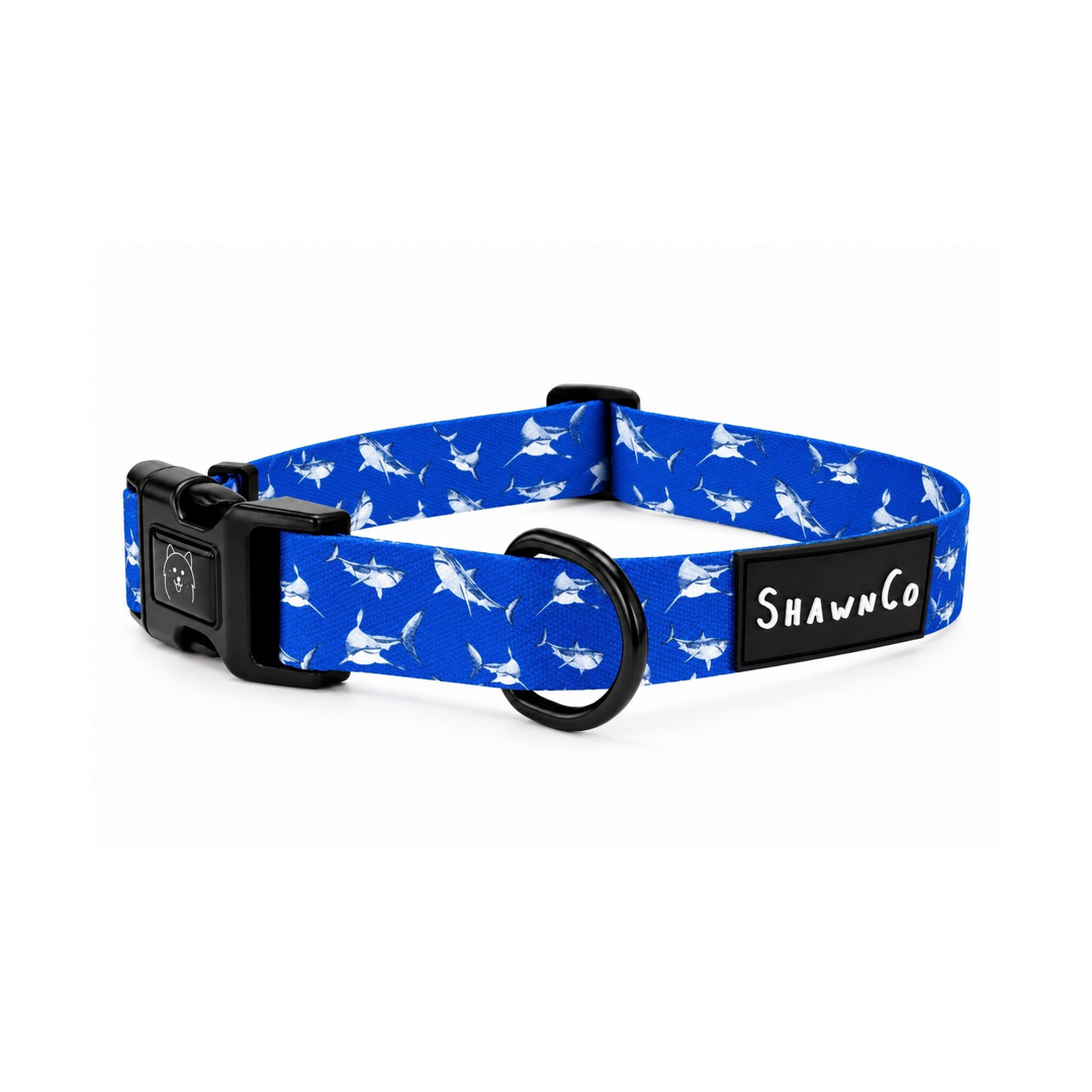 ShawnCo Dream Walk Dog Collar