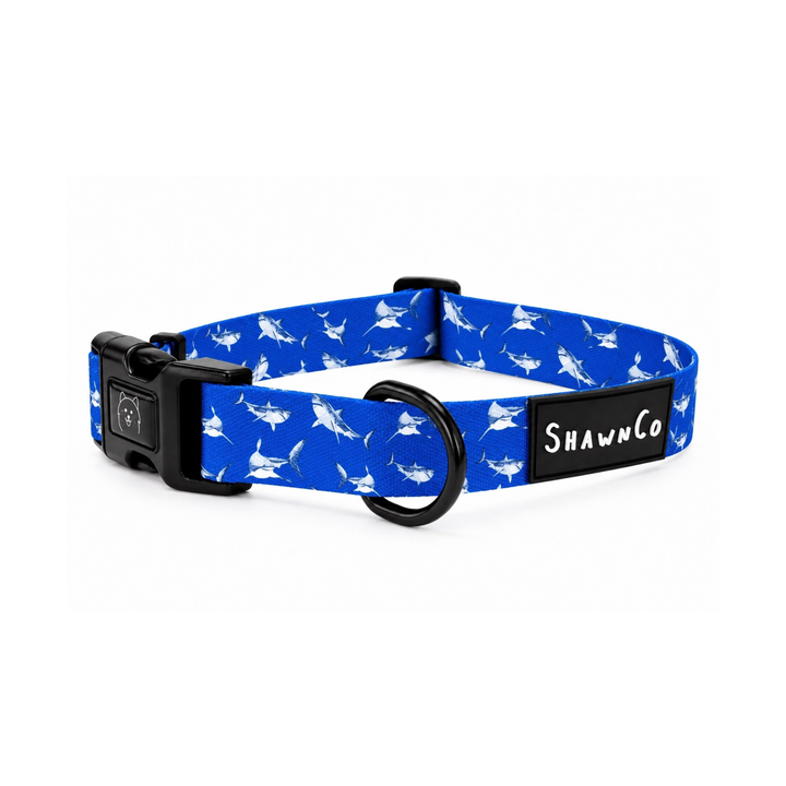 ShawnCo Dream Walk Dog Collar